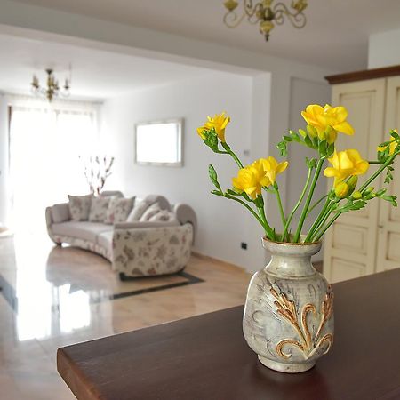 Făgăraş San Grecu House 아파트 외부 사진